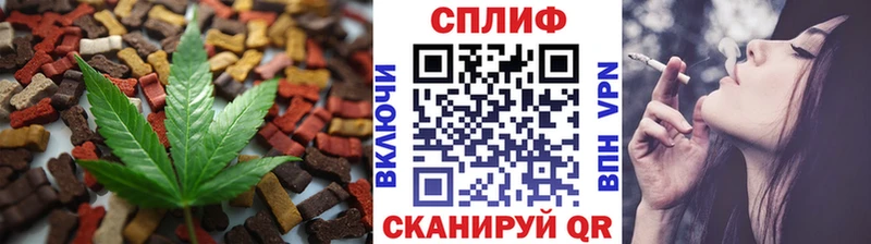 где купить   Невинномысск  Canna-Cookies конопля 