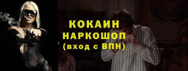 a pvp Каменка