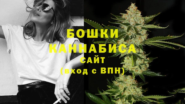 первитин Карпинск
