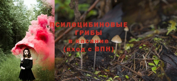 2c-b Усинск