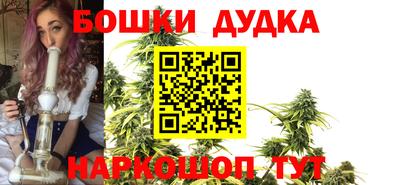 индика Волгодонск