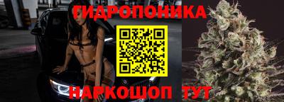 PSILOCYBIN Балахна